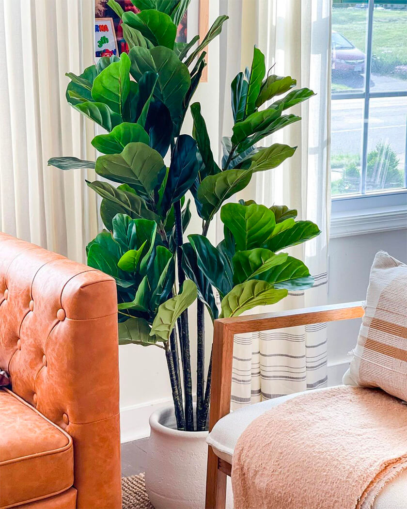 Where To Buy Modern Faux Plants & Faux Flowers wallflower