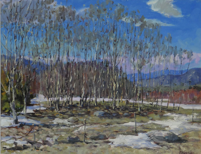 Hughes Brook in Spring Studio22