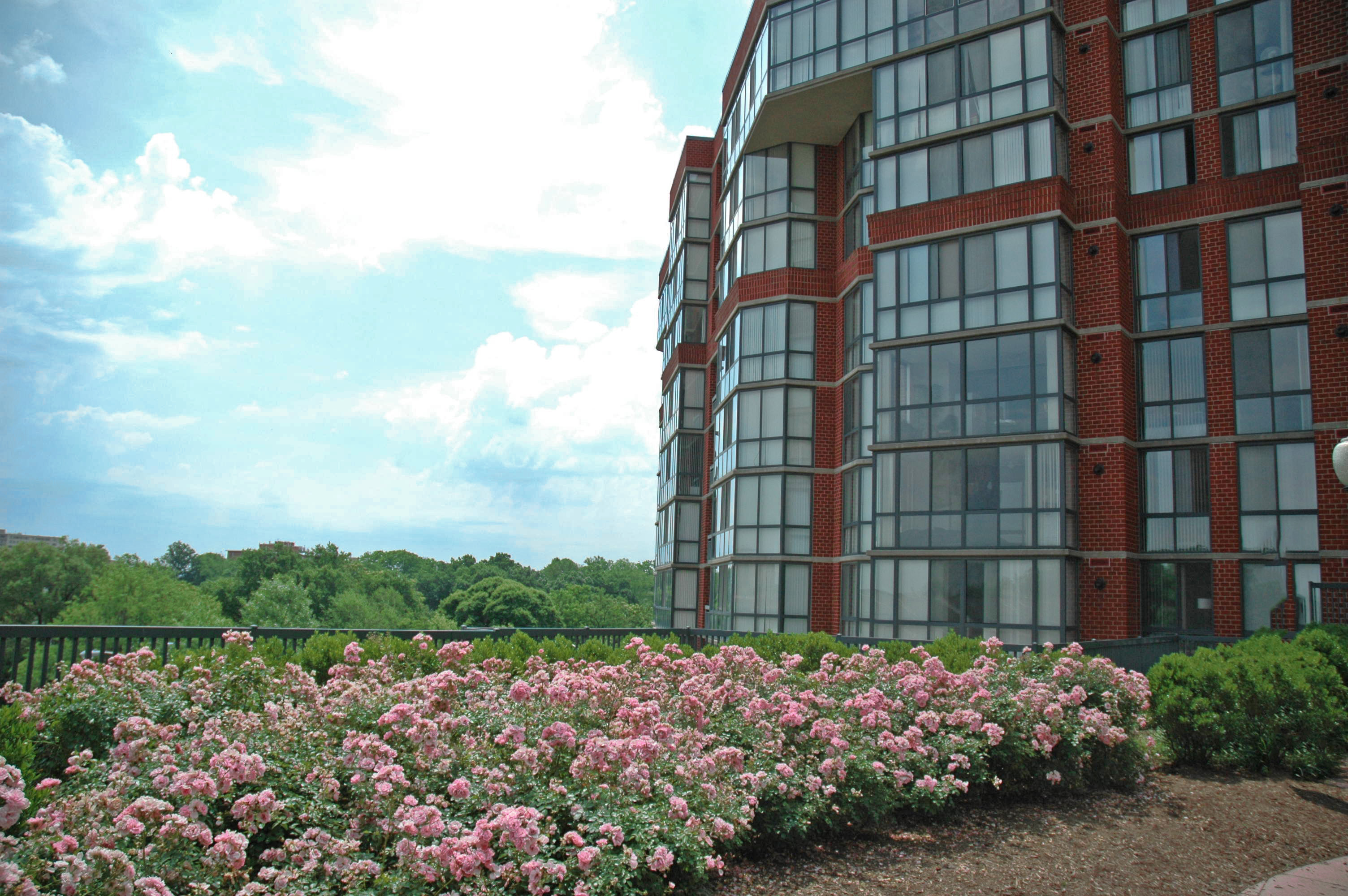 » STUDIO39 Landscape Architecture