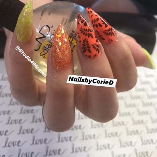 Beauty Salons Billings MT, Manicure Billings MT Studio 406 Salon