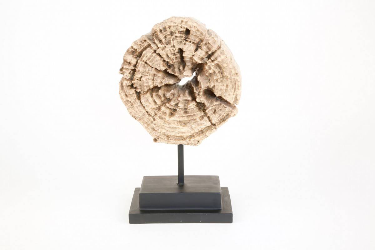 Abstract Natural Sculpture Studio 77 Home Design