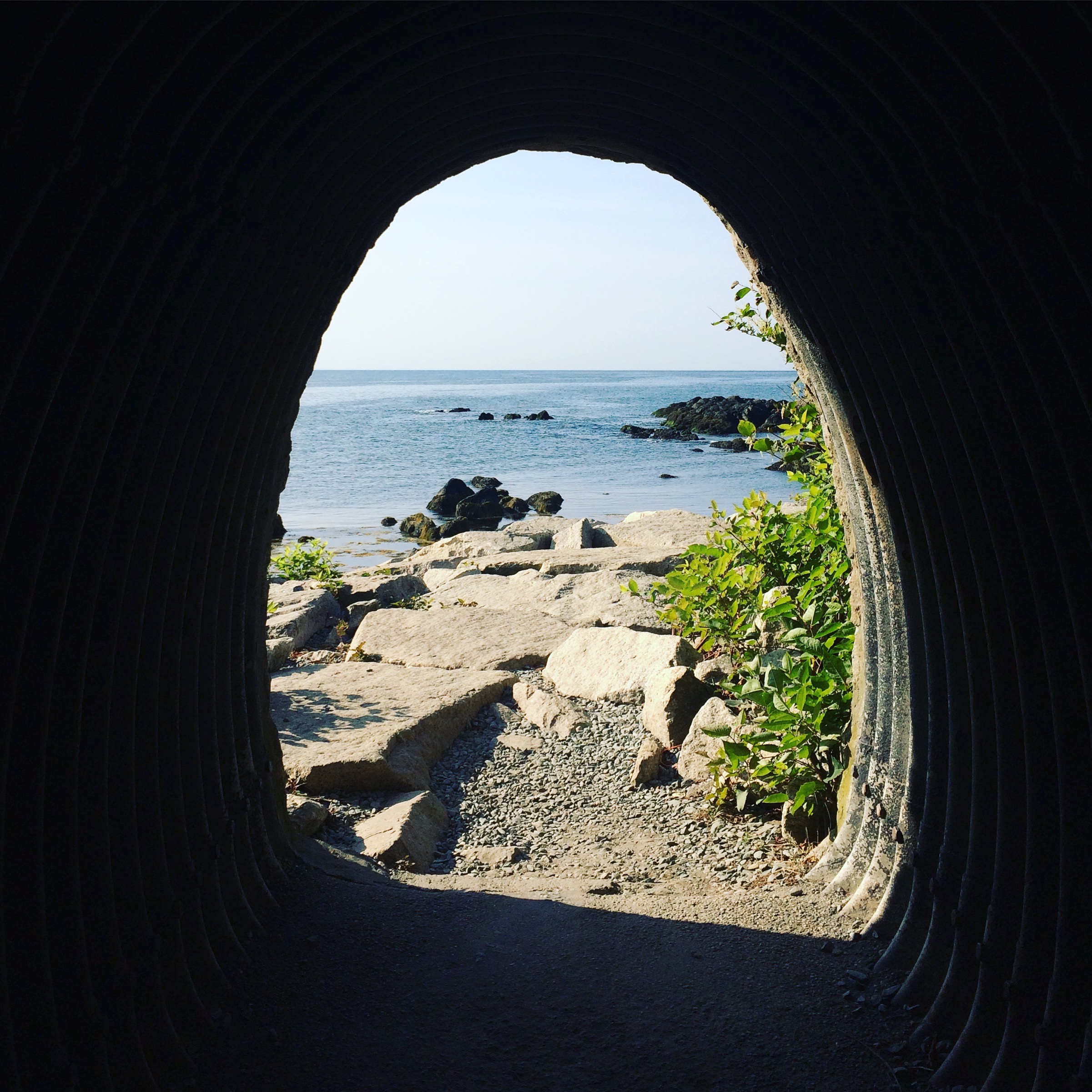 Cliff Walk, Newport, Rhode Island Studio AG