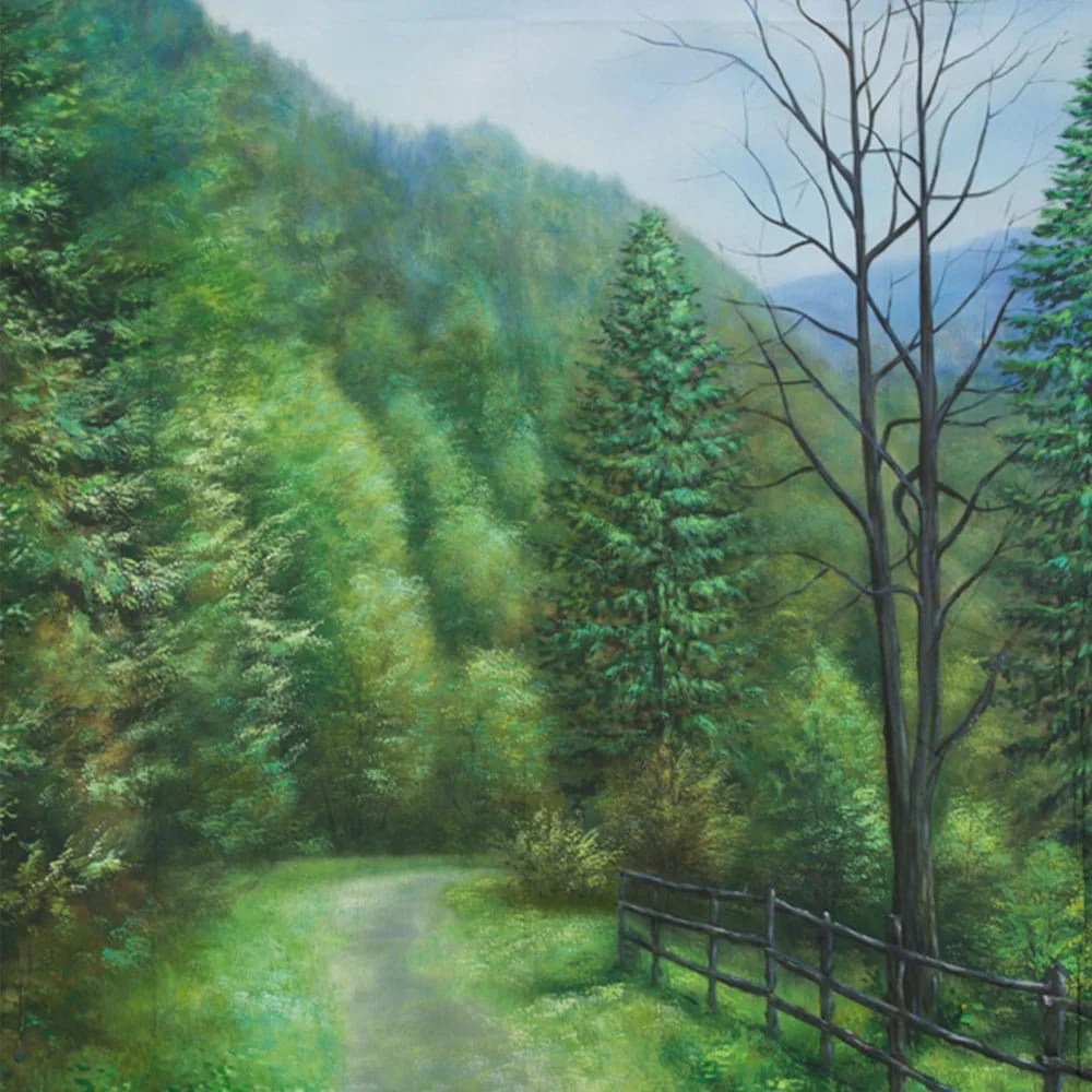 Portable backdrops for photography publishingpna