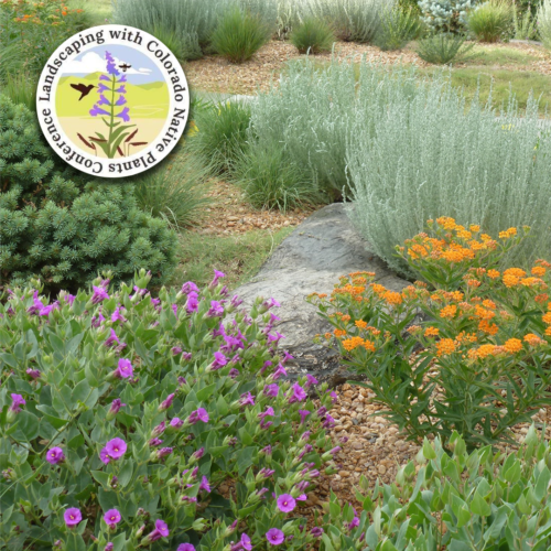 StudioCPG's Ilene Flax Presenting at the 2022 Landscaping with Colorado