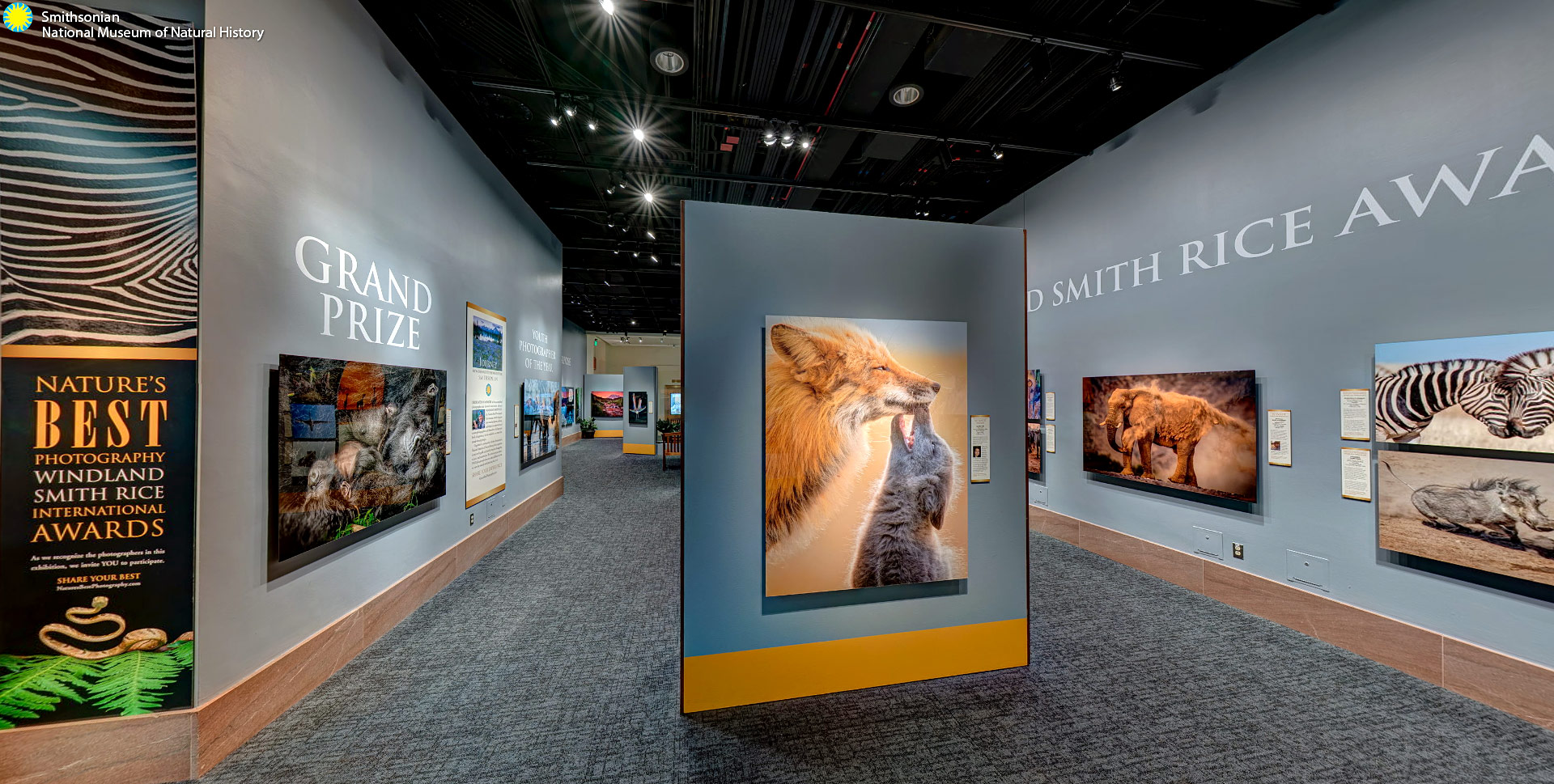 Nature’s Best Photography Windland Smith Rice International Awards