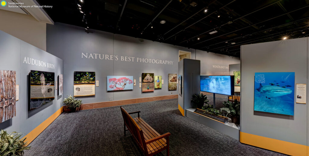 Nature’s Best Photography Windland Smith Rice International Awards