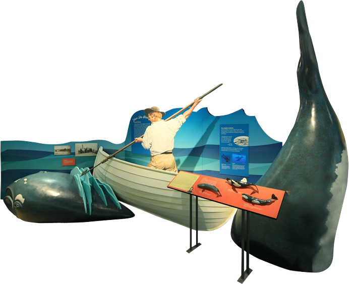 Museums Studio Displays