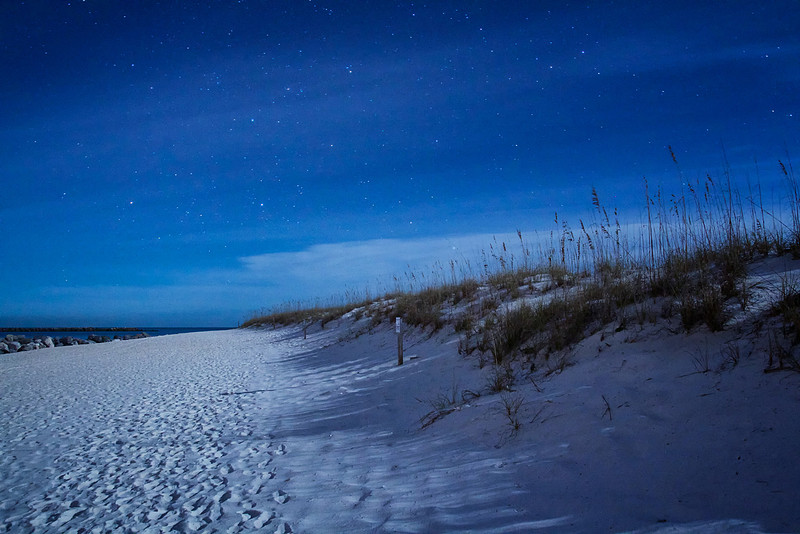 Flash Forward It was a cold, dark night....