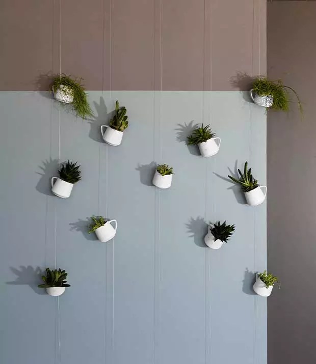 Why plants are good for your office space? luka