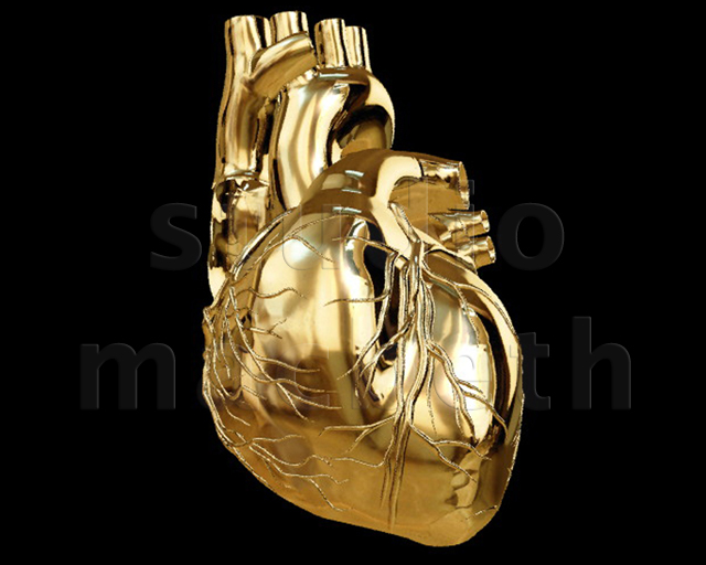 heart of gold StudioMacbeth