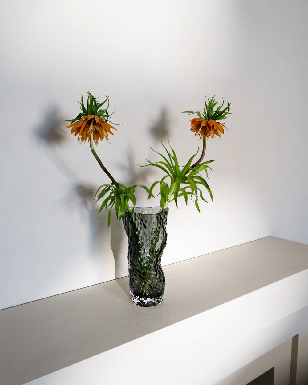 Ostrea Rock Glass Vase Studio Pompone