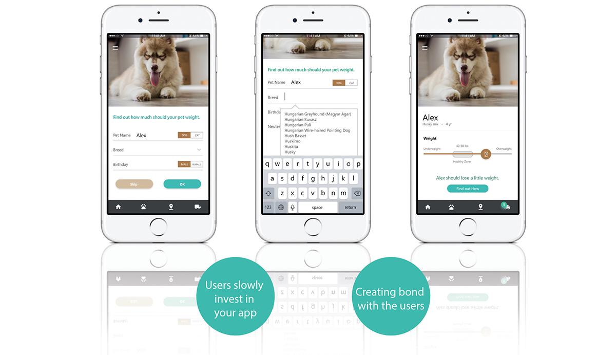 Unicorn Pet Health App UX/UI Design StudioRed