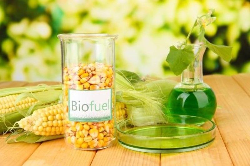Biofuel Types, Uses & Examples StudiousGuy
