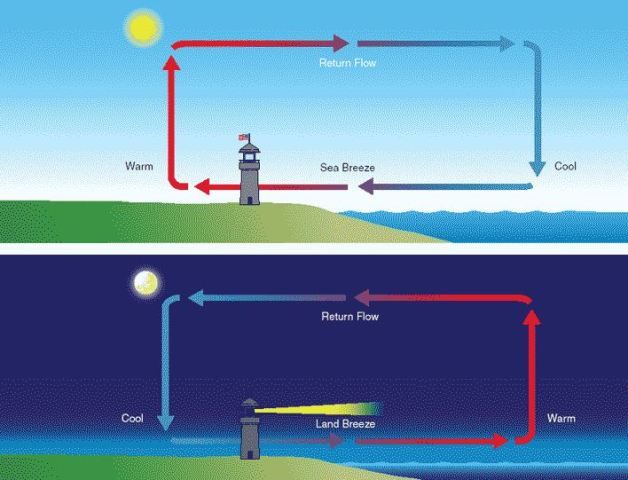 13 Examples Of Convection In Everyday Life StudiousGuy