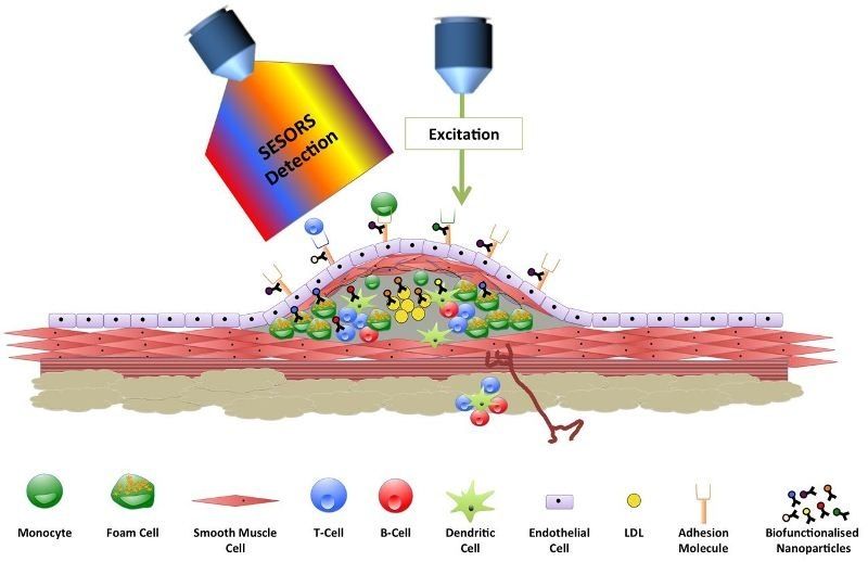 Raman Spectroscopy and its Uses StudiousGuy