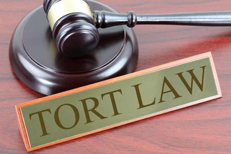 Law of Torts in India StudiousGuy