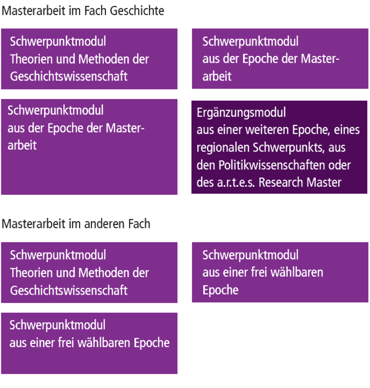 Historisches Institut MA Geschichte 2Fach