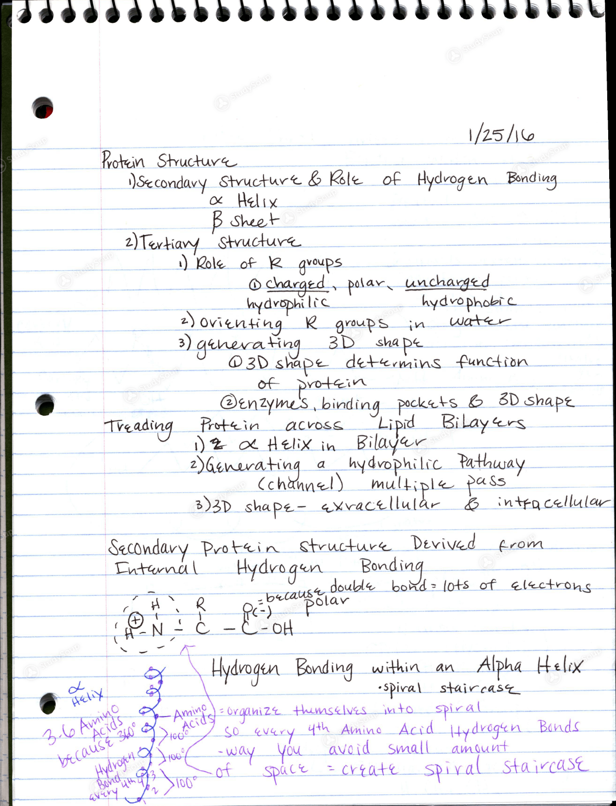 CSU BMS 300 BMS300 Week 2 Notes Class Notes StudySoup