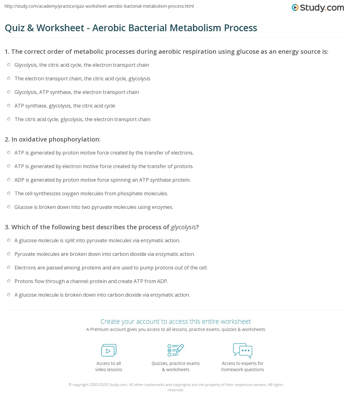 Quiz & Worksheet Aerobic Bacterial Metabolism Process