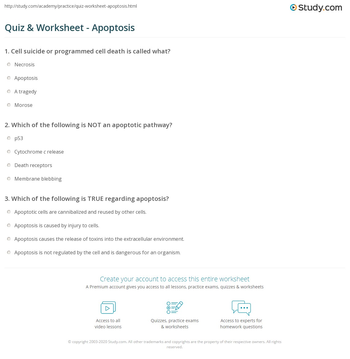 Quiz & Worksheet Apoptosis