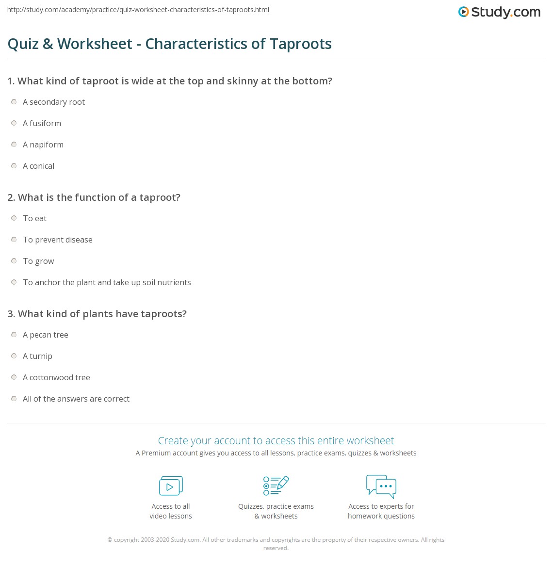 Quiz & Worksheet Characteristics of Taproots