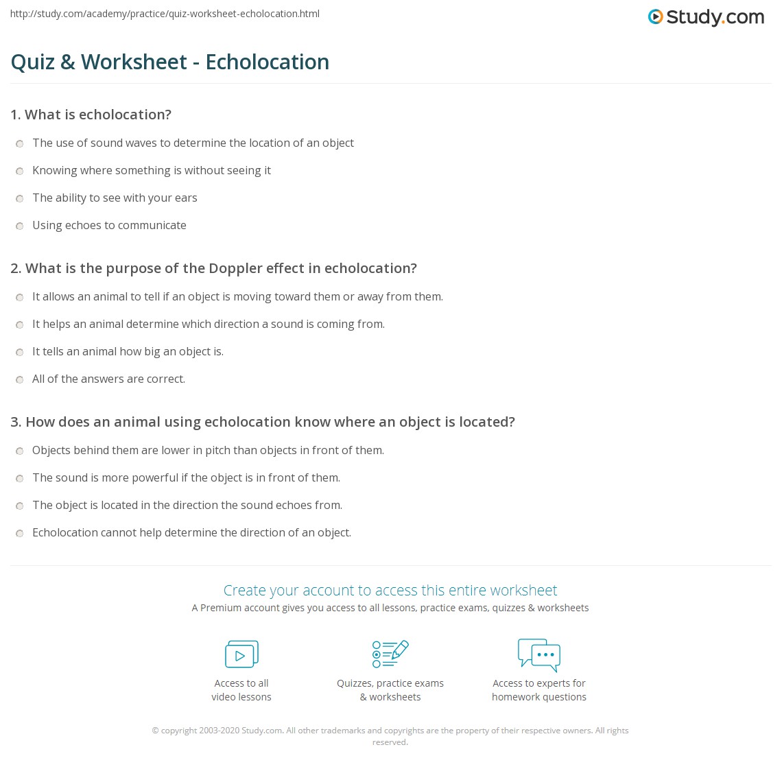 Quiz & Worksheet Echolocation