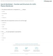 The Best Chapter 7 Membrane Structure And Function Answer Key Ideas
