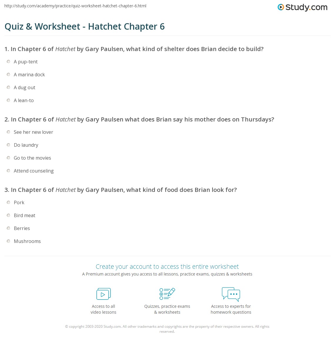 Hatchet Chapters 6 and 7 Adobe Slate