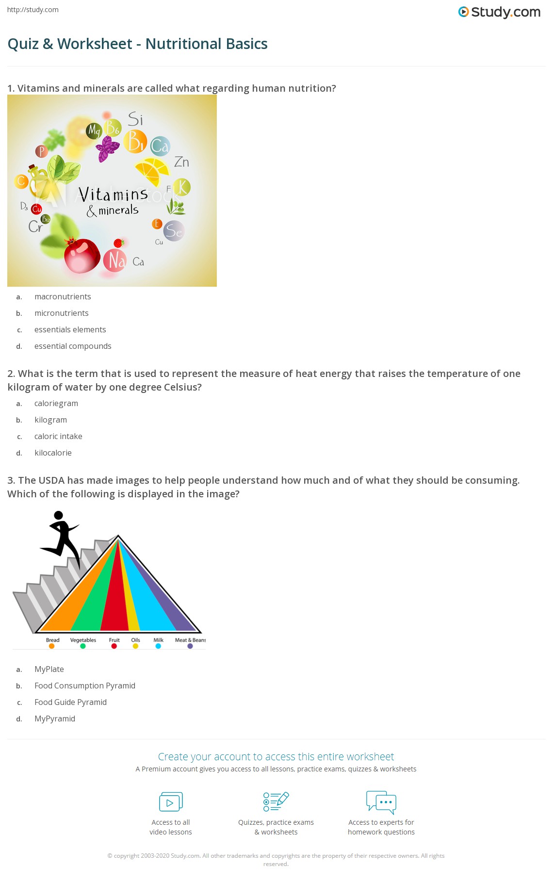 Basic Nutrition Quiz Printable