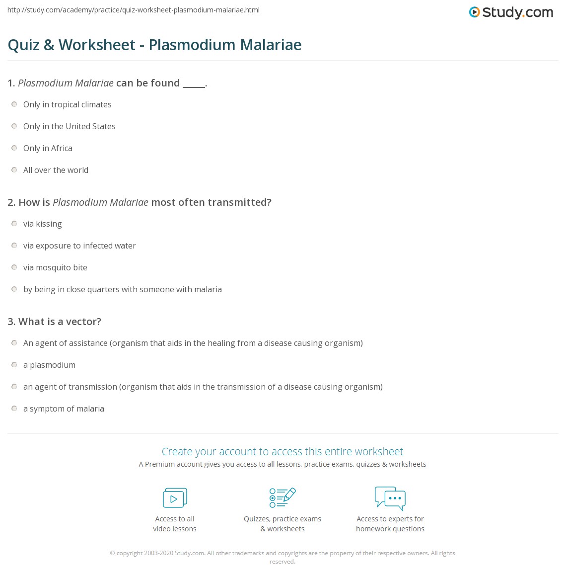 Quiz & Worksheet Plasmodium Malariae