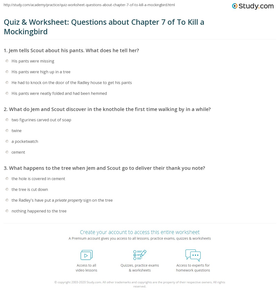 Quiz & Worksheet Questions about Chapter 7 of To Kill a Mockingbird