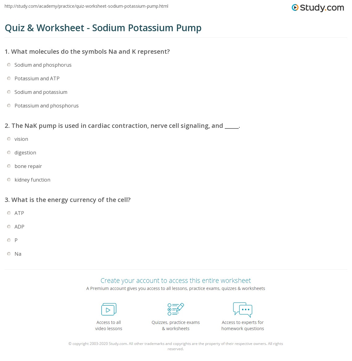 Quiz & Worksheet Sodium Potassium Pump