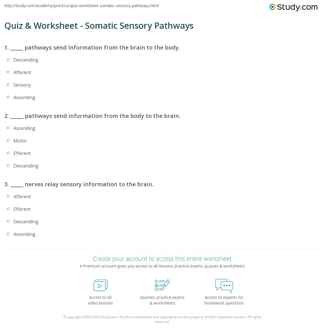 Quiz & Worksheet Somatic Sensory Pathways