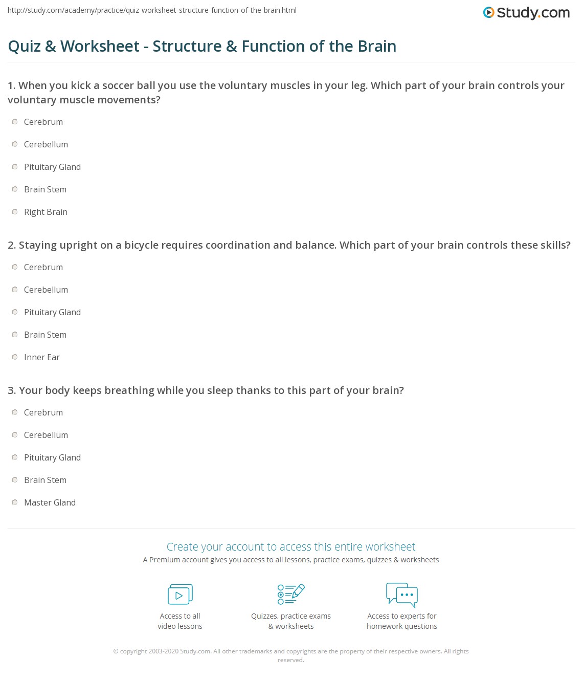 Quiz & Worksheet Structure & Function of the Brain