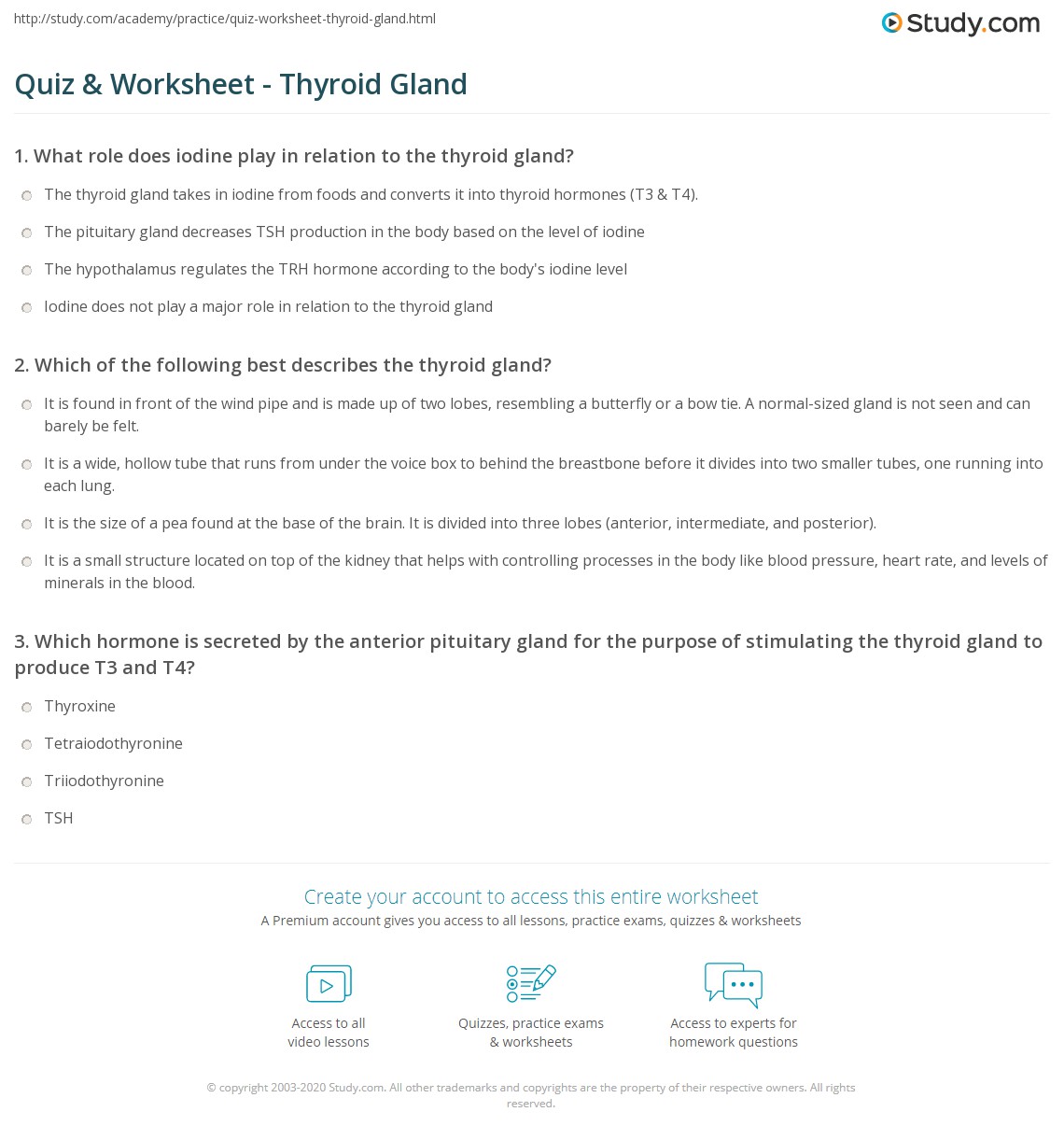 Quiz & Worksheet Thyroid Gland