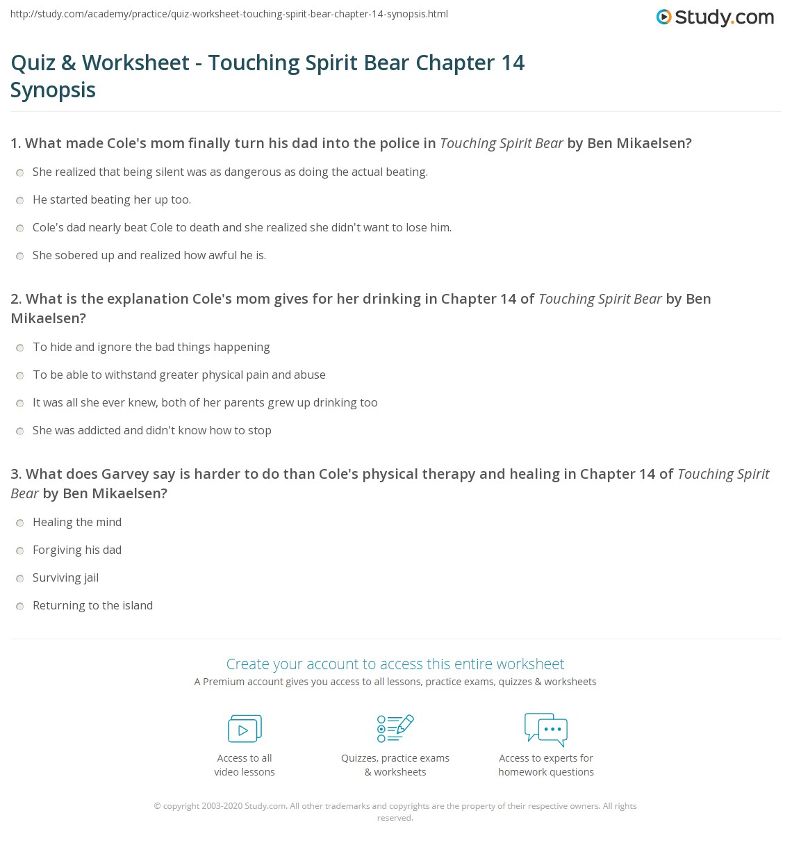 Quiz & Worksheet Touching Spirit Bear Chapter 14