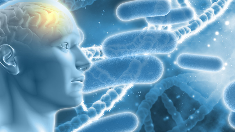 Human Biology Study Guide Course Online Video Lessons