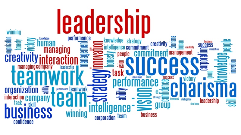 Introduction to Human Resource Management Certificate Program Course Online Video Lessons