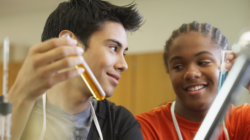 MSTEP Science Grade 11 Test Prep & Practice Course Online Video