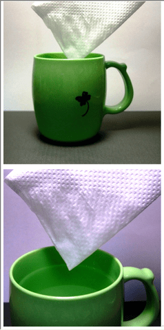 Capillary Action Lesson for Kids | Study.com