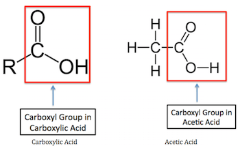 Acetic Acid | Formula, Structure and Uses - Lesson | Study.com