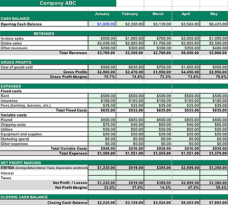 Cash Flow Projection | Definition, Statements & Example - Lesson