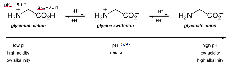 How To Calculate Isoelectric Point Of A Protein