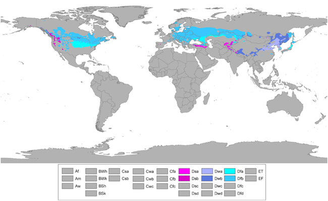 Humid Continental Climate Definition, Maps &amp, Facts Video &amp, Lesson