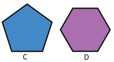 Area of an Irregular Polygon | Formula, Technique & Examples - Lesson