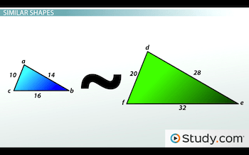 Properties of Congruent and Similar Shapes - Video & Lesson Transcript