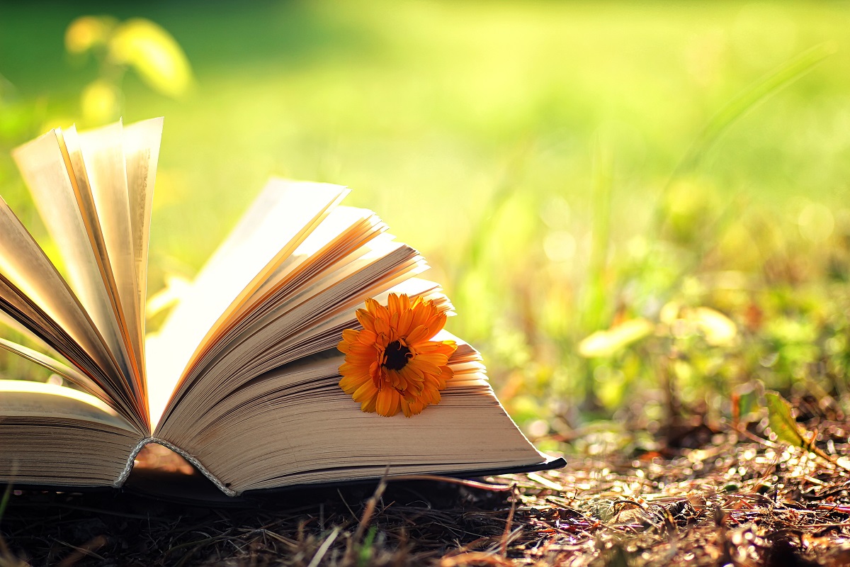 Why Spring Semester is the Perfect Time for a Fresh Start