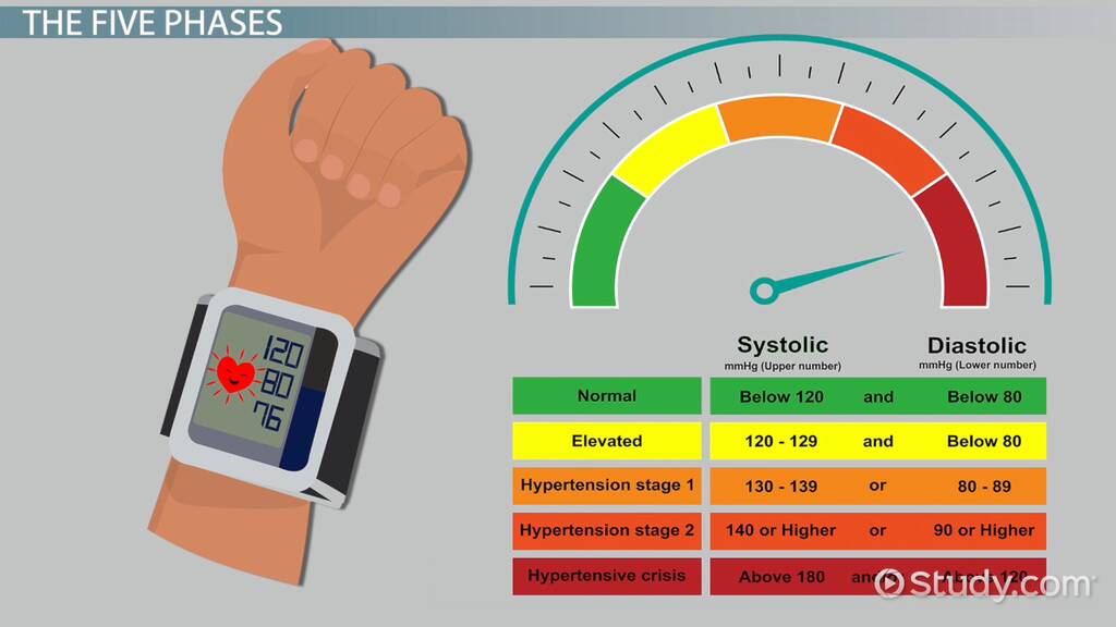 Korotkoff Sounds Definition, Causes & Examples Lesson