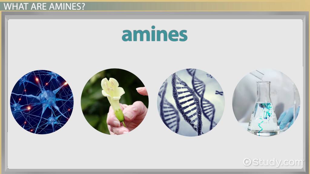 PDF naming amines and amides worksheet with answers PDF Télécharger Download