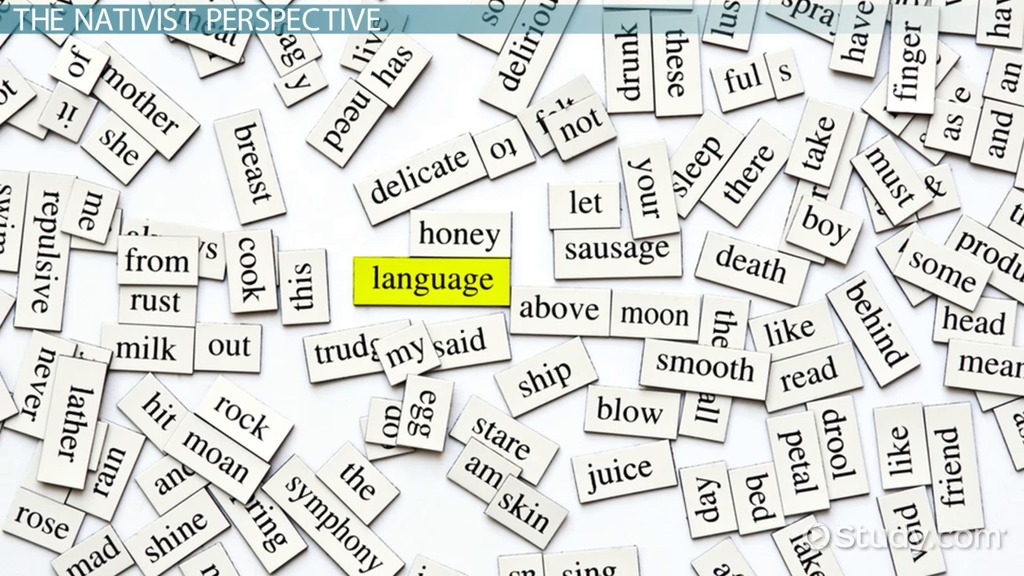 Chomsky's Nativist Theory of Language Definition & Development Video